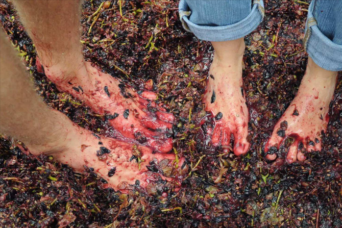 315曝光脚踩酸菜用脚踩出来的食物真的不能吃吗