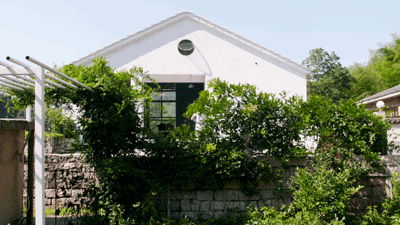 浙江年轻人共享社区走红熟人抱团群居想象不到的快乐