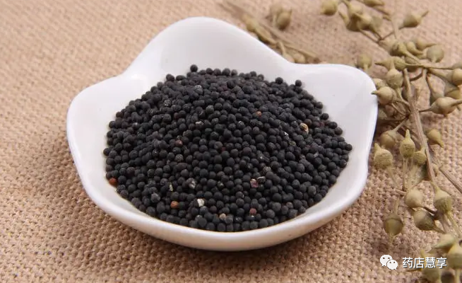 教你学中药王不留行