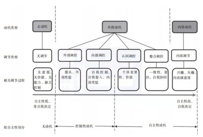 依据自主性在动机中占比的提升,自我决定理论的奠基人,开创者爱德华