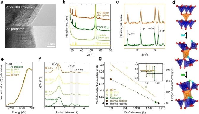 新知达人, 孟颖/徐梽川,最新Nature子刊!