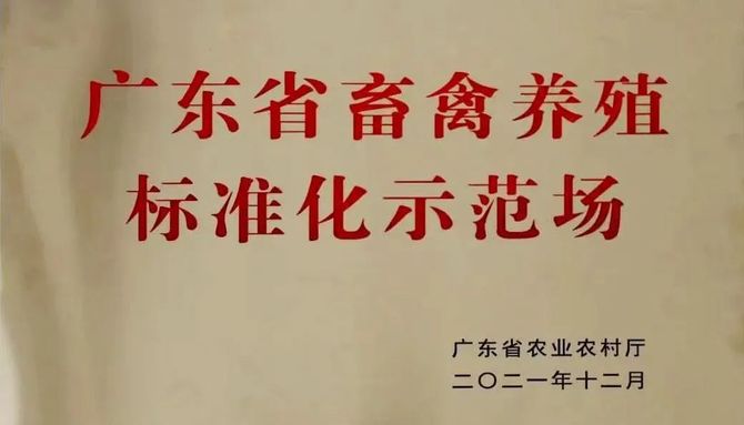 新知达人, 东东蛋业，好东东——访“鸡蛋界董明珠”黎来凤