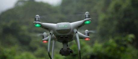 无人机+ AI 图像分析：里斯本大学高效检测林业害虫