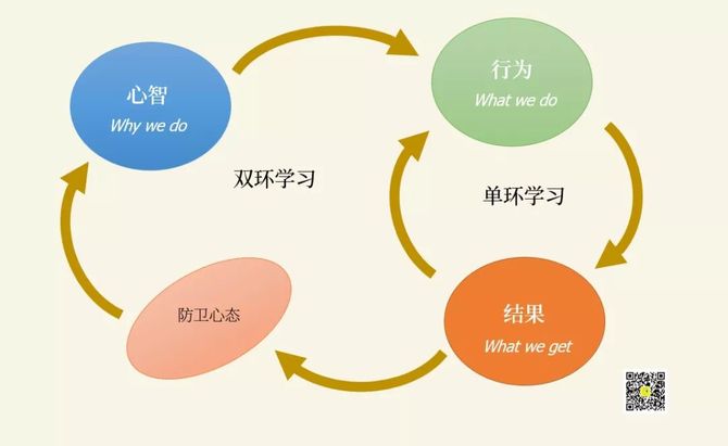 新知达人 思维模型no.54|双环学习,把你的经验化成智慧