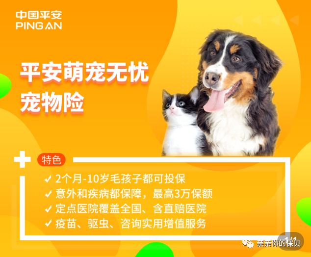 宠物险平安萌宠无忧宠物险