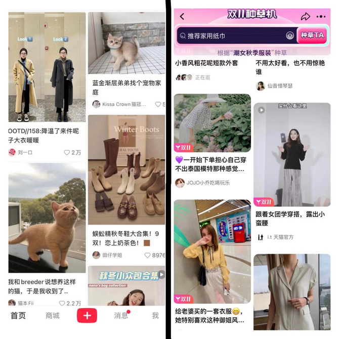 5000萬人在逛逛內種草,學會小紅書淘寶就不怕抖音?