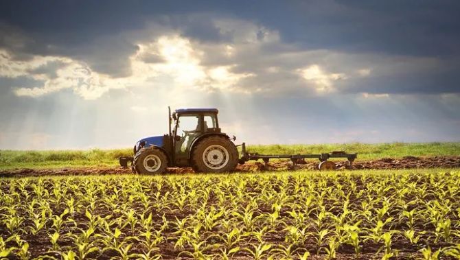 三农日报|政策:帮助小农户实现现代化发展;院士:让农民受益于好品种