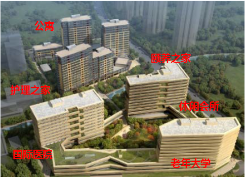 新知图谱, 养老江湖：十年十败，一部跌宕起伏的中国养老史诗