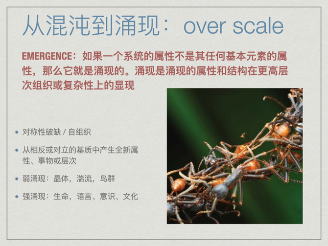 新知达人, 对称性破缺与涌现——复杂科学与艺术之间的共鸣