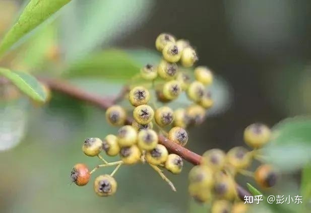 新知达人, 广告销售是我一生的事业 I 必须学会的心态调节方法