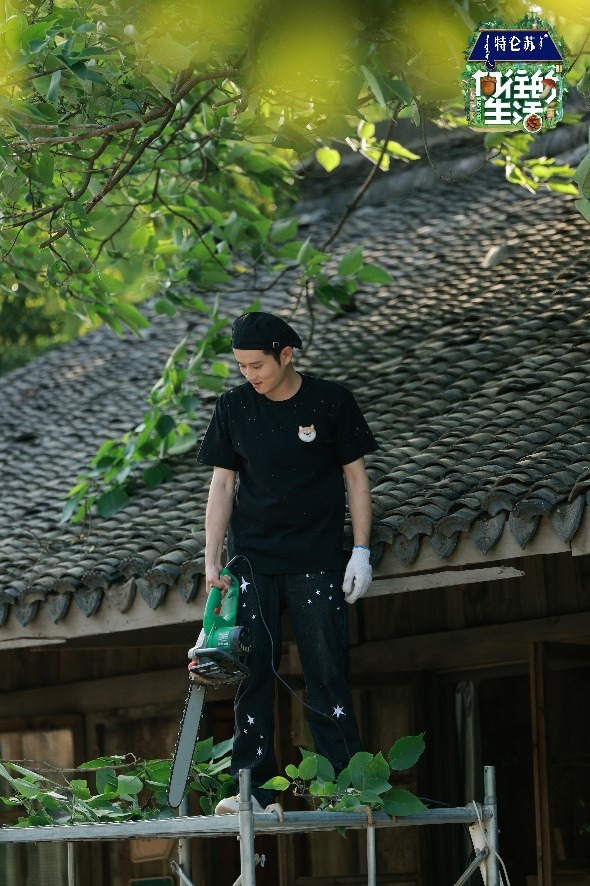 新知达人, 王勉王俊凯到访蘑菇屋，“专业团队”出品值得期待！