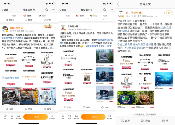 中视快报网, 天猫联合“动物”品牌保护动物， 公益发声再进阶