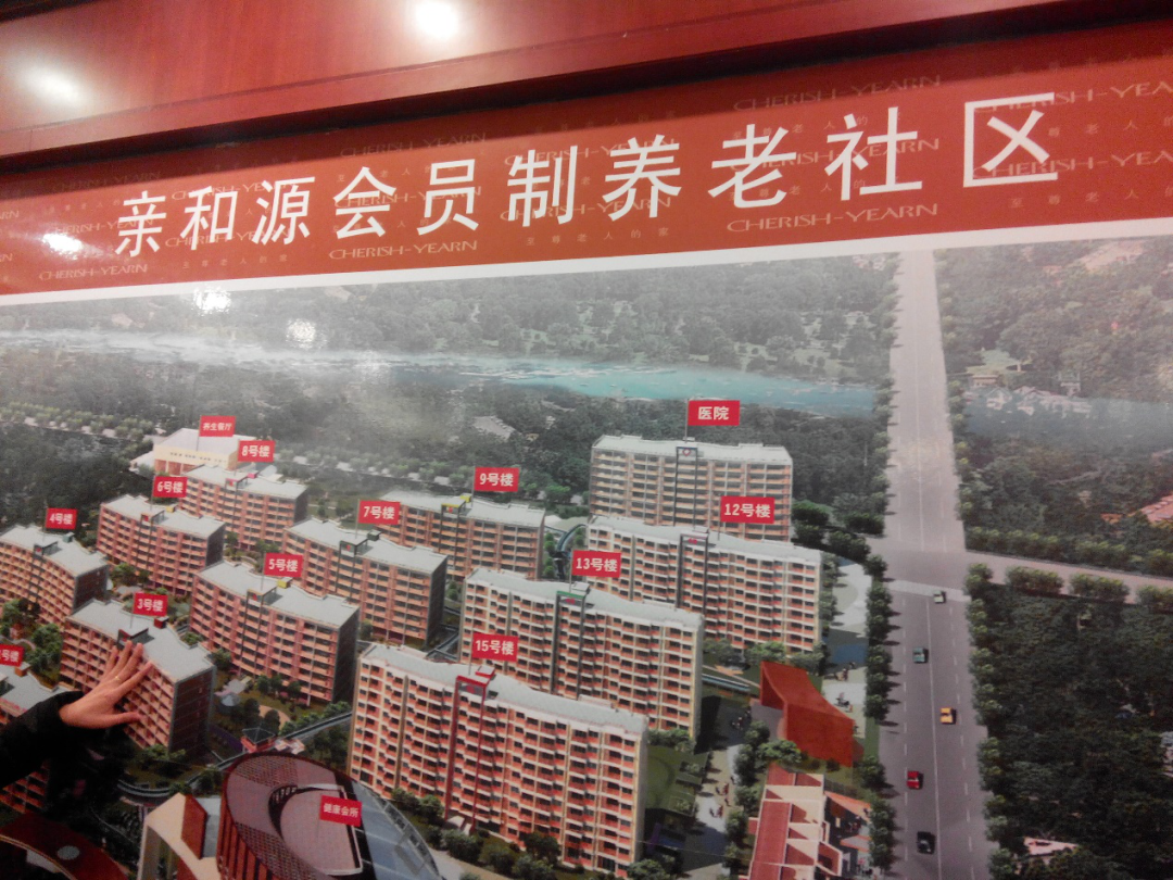 新知图谱, 亲和源从盈利3415万元到亏损近亿元，业绩大变脸的原因是什么