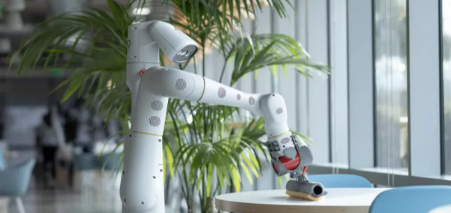 新知达人, 能自己做家务的机器人来了？谷歌做了5年，未来可能还很远