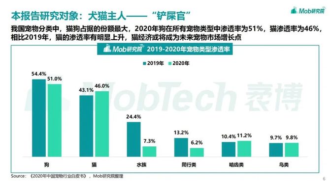 新知达人, 2021年宠物专题研究报告