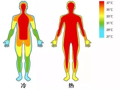 蘇州大學博士發明的暖腳神器墊上它3分鐘速熱立刻升溫10度從腳底暖到