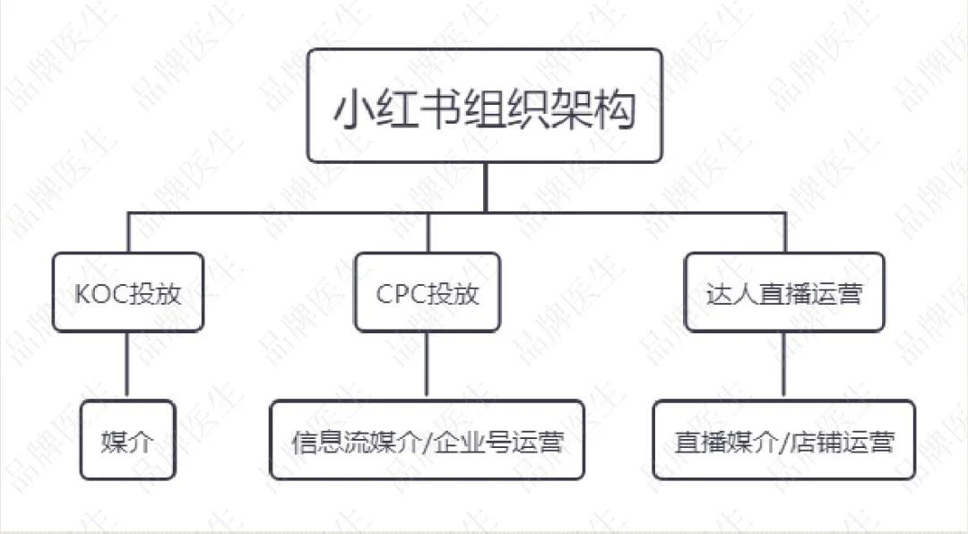 小红书公司组织架构图图片