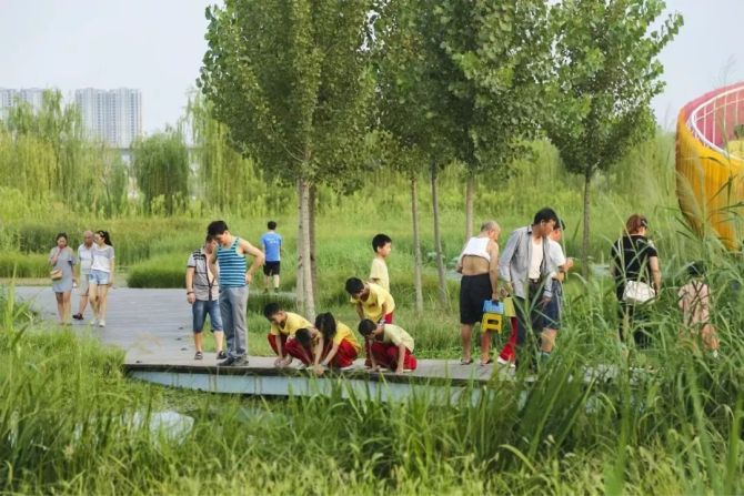 新知达人, 2019景观中国年度 TOP20 景观项目