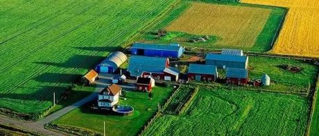 农业产业升级典范：认养农业模式，阿里、腾讯、云天化都在玩