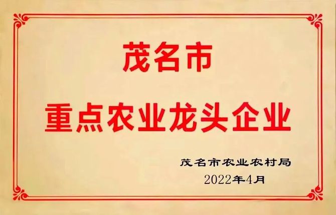 新知达人, 东东蛋业,好东东——访“鸡蛋界董明珠”黎来凤