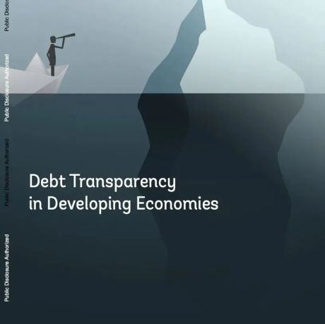 2021年发展中经济体债务透明度报告
