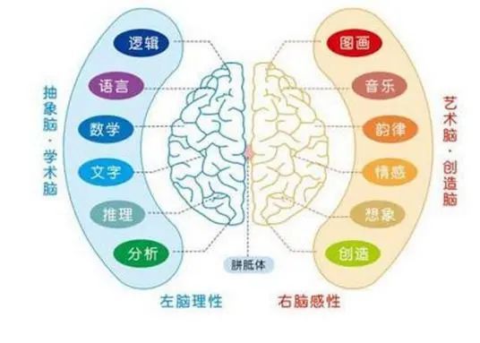 传达更多信息,先于左脑,从右脑抓住用户的下一个思考