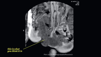爱上黑科技, 涨知识
