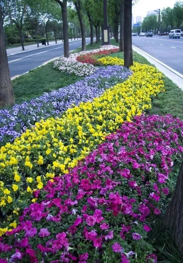 景观知识大放送 花钵 花坛 达跃景观科技 商业新知 景观知识大放送 花钵 花坛 达跃景观科技 商业新知