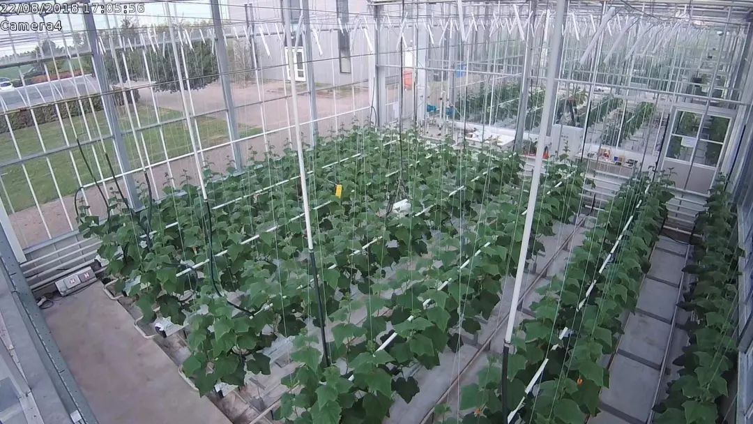 新知图谱, 【A】腾讯初探AI+农业 获国际AI温室种植大赛亚军