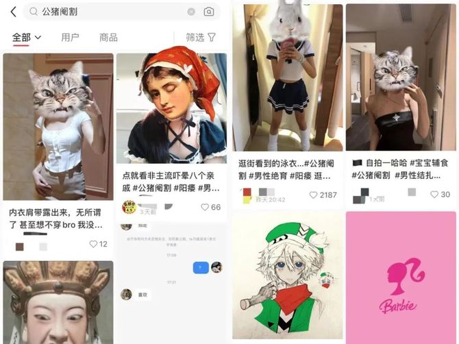 娱乐硬糖, 宝宝辅食与小红书隔“男”墙