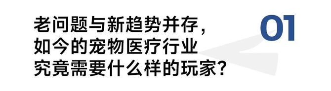 浪潮新消费, 对话瑞辰宠物医院集团：两年跻身行业TOP3，一场专业主义的胜利