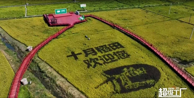 Foodaily, 十月稻田上市，农产品品牌化的故事好讲么？