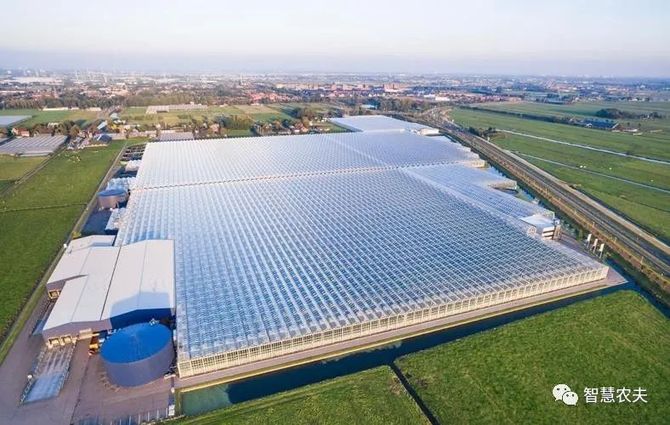 智慧农夫, 现代设施种植建设专项实施方案（2023—2030年）