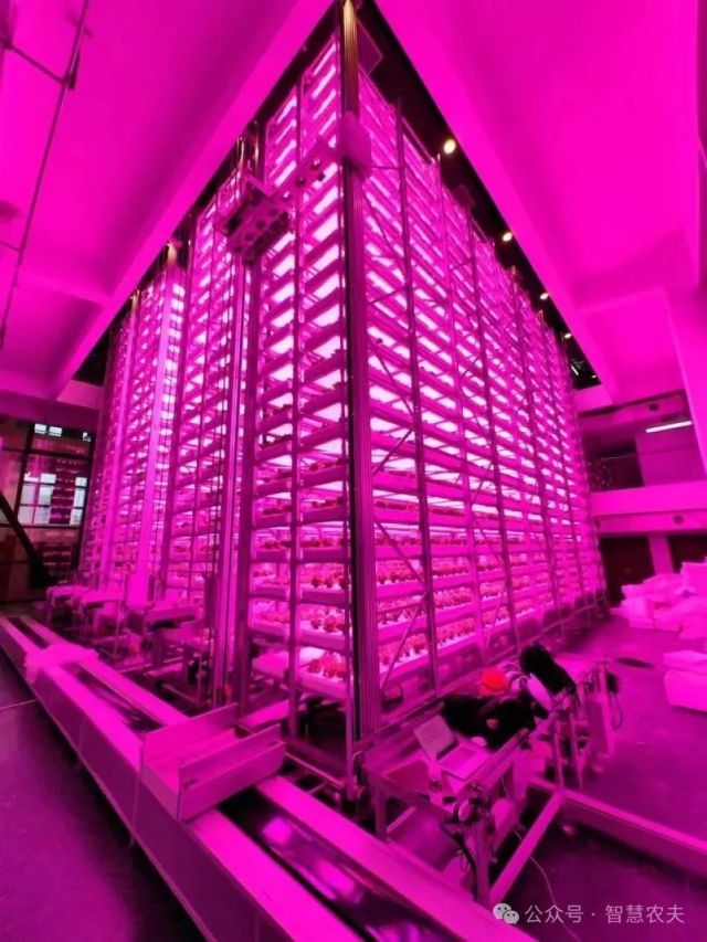 国内首个无人化垂直植物工厂，上演种菜高科技！