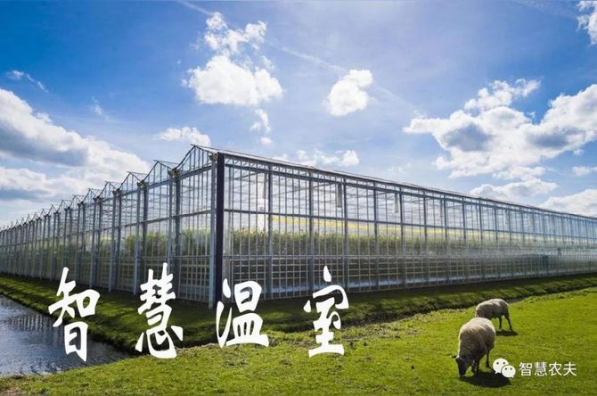 智慧农夫, 温室大棚并非欧洲首创,2000多年前的汉朝已吃上反季节蔬菜！