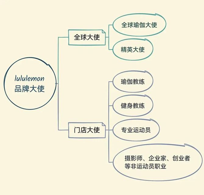 知家DTC, 超头主播频翻车，KOC才是大未来