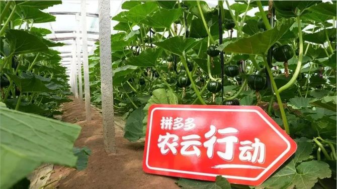 农业数字化, 数字农业推进路径是啥？