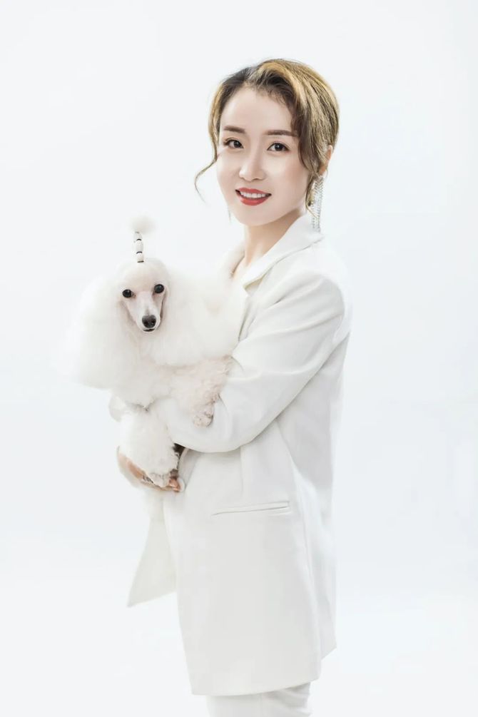 解决店面全身手剪难题,贵宾犬拉姆装造型修剪