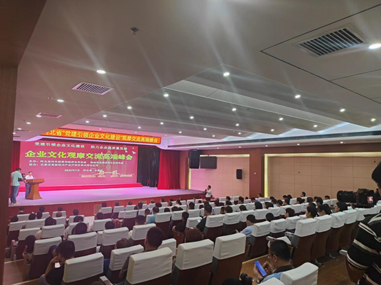马丽亚受邀出席河北省党建引领企业文化建设高端峰会 并做品牌建设分享