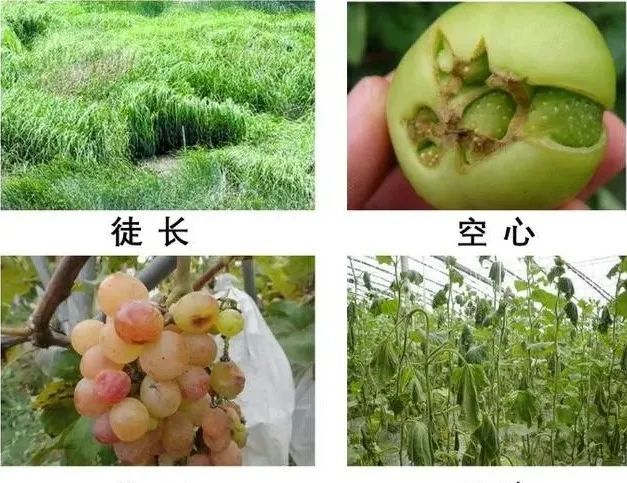 互联网农资人, 再次提醒！卖这些肥料就是违法，最高判无期徒刑！