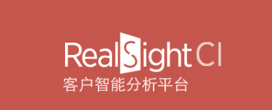 RealSight CI